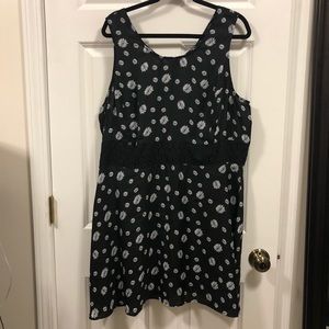 BB Dakota fit & Flare Dress